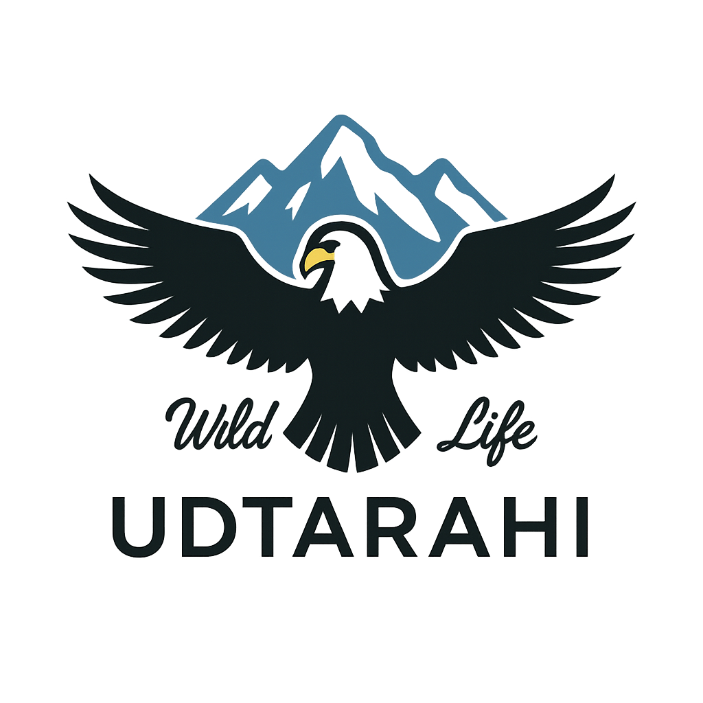 Udta Rahi Travels